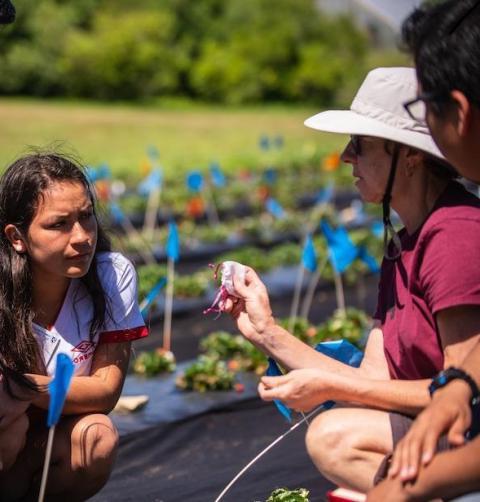 researcher working in farm