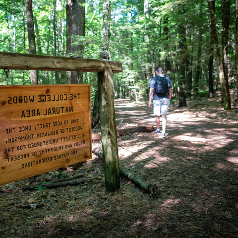 college woods trail and sign